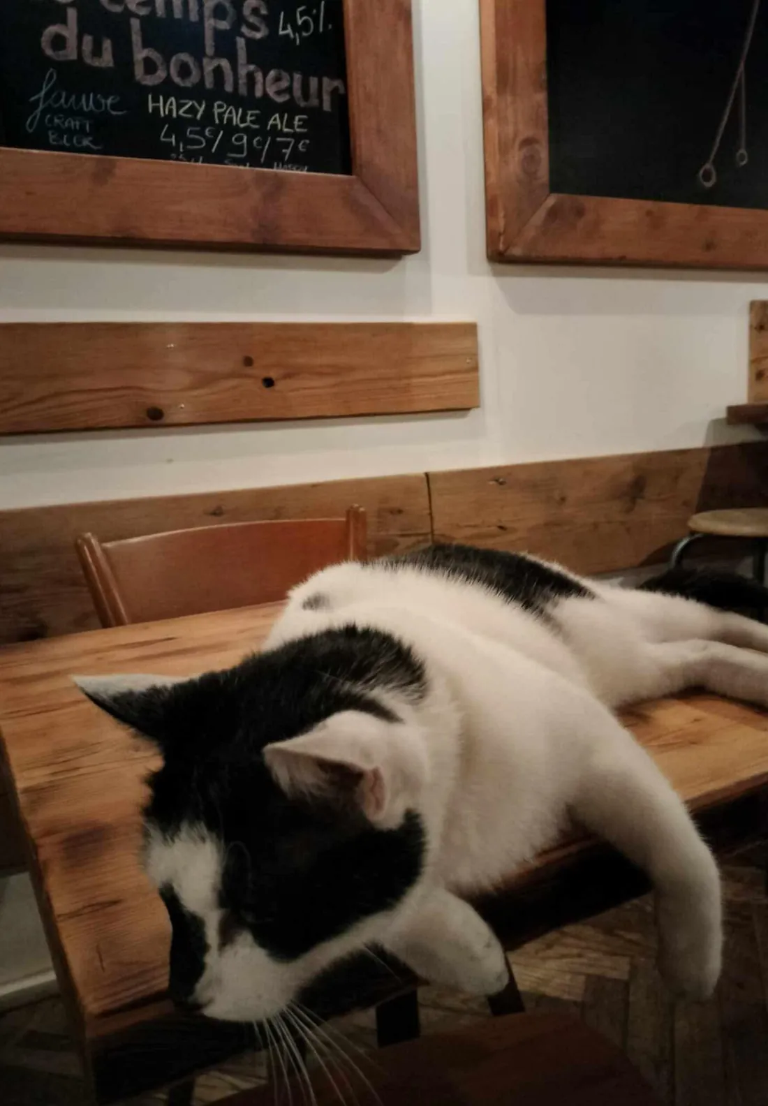 Un chat noir et blanc allongé sur une table en bois, sous l'ardoise des bières